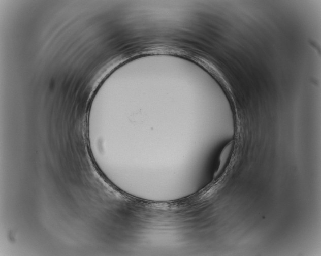 X0000099440855200806061042