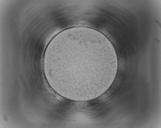 X0000099440856200806061042