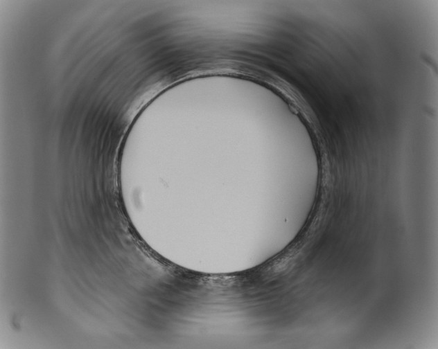 X0000099440858200806061042