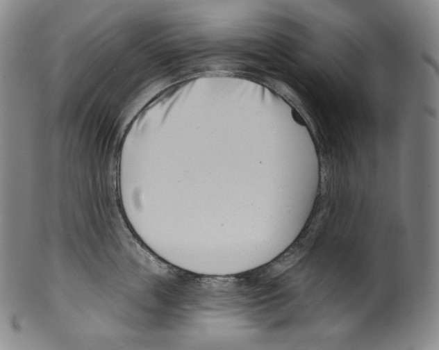 X0000099440859200806061042