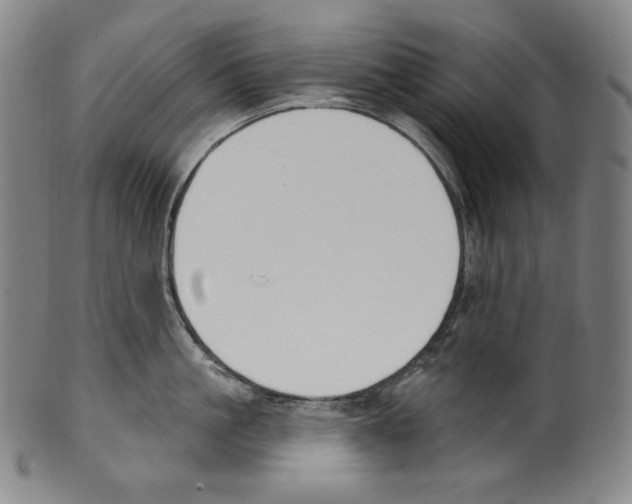 X0000099440861200806061042