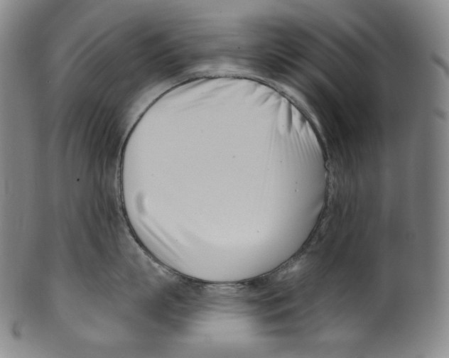 X0000099440863200806061042