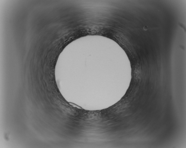 X0000099440865200806061041