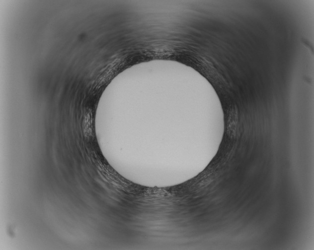 X0000099440866200806061041