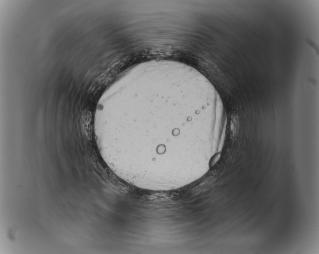 X0000099440867200806061041