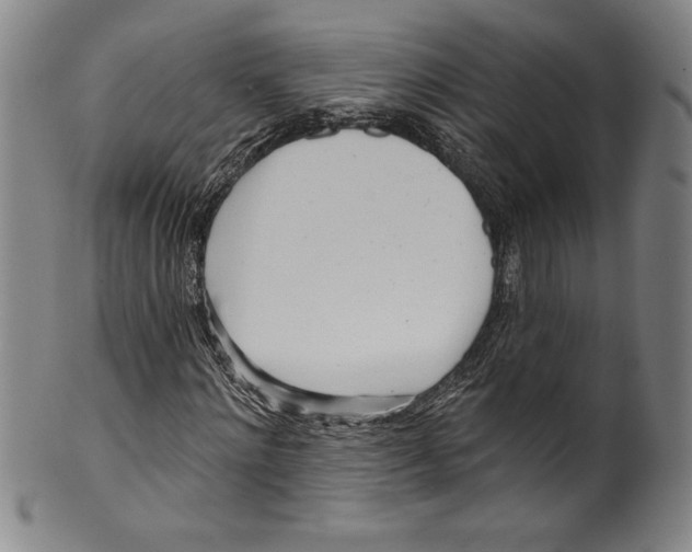 X0000099440868200806061041