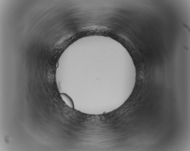 X0000099440869200806061041