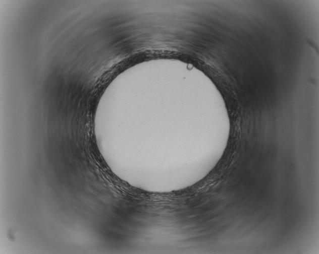 X0000099440870200806061041