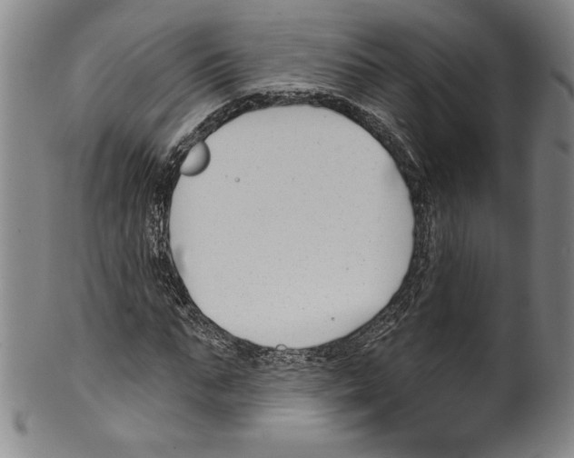 X0000099440871200806061041