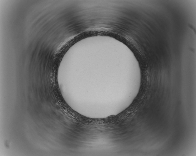 X0000099440872200806061041