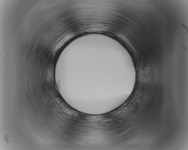 X0000099440874200806061041