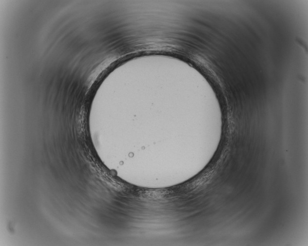 X0000099440875200806061041