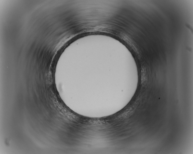 X0000099440876200806061041