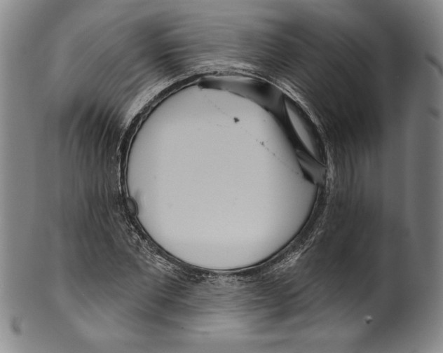 X0000099440877200806061041