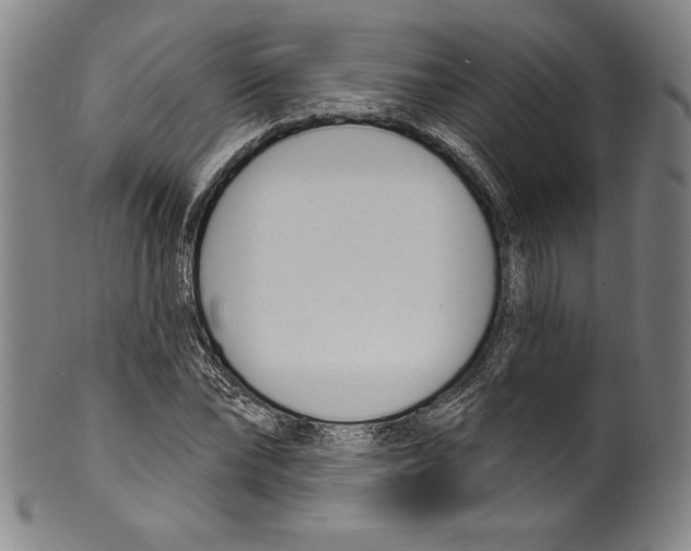 X0000099440878200806061041