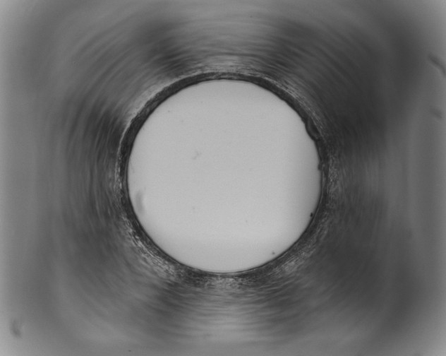 X0000099440880200806061041