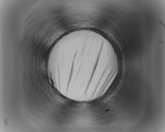 X0000099440881200806061041