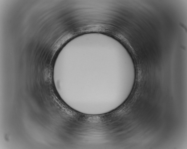 X0000099440882200806061041