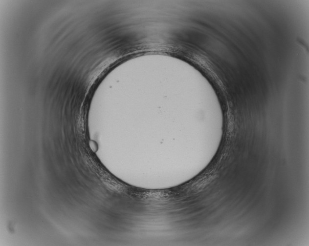 X0000099440883200806061041