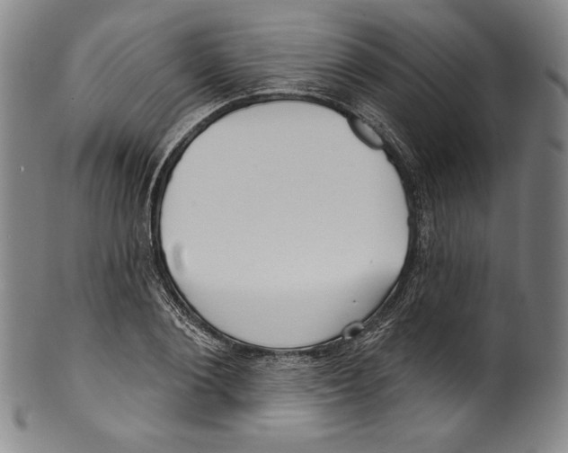 X0000099440884200806061041