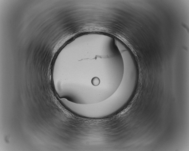 X0000099440885200806061041