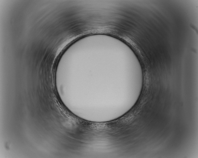 X0000099440886200806061041