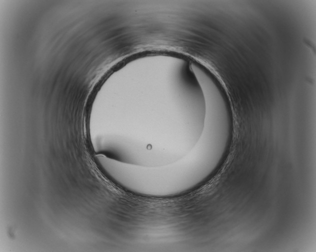 X0000099440887200806061041