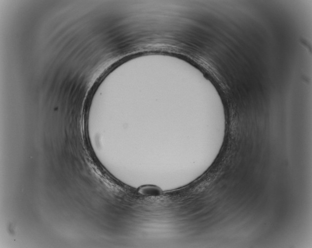 X0000099440888200806061041