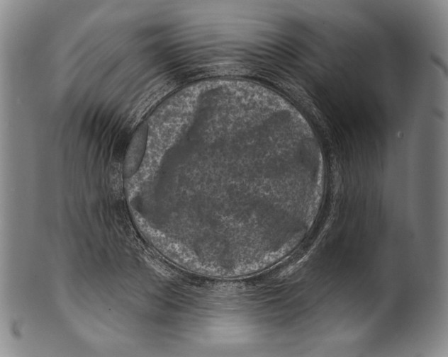 X0000099440889200806061041