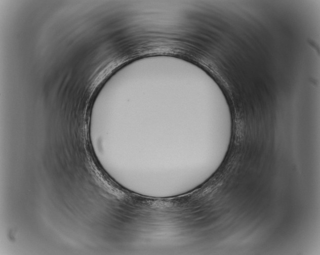 X0000099440890200806061041