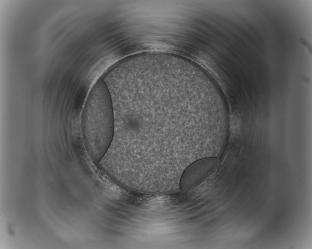 X0000099440891200806061041