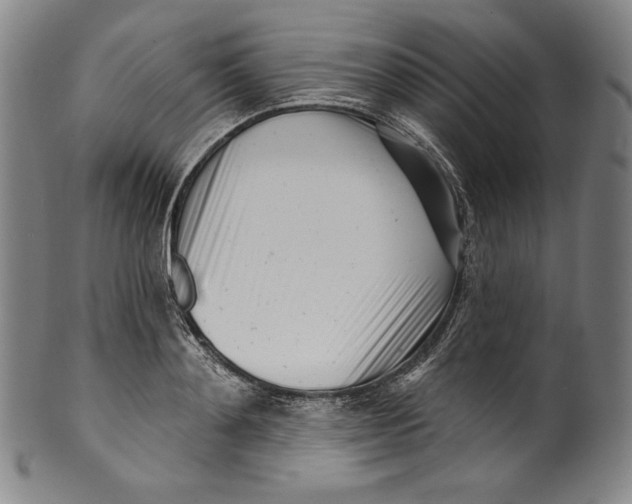 X0000099440892200806061041