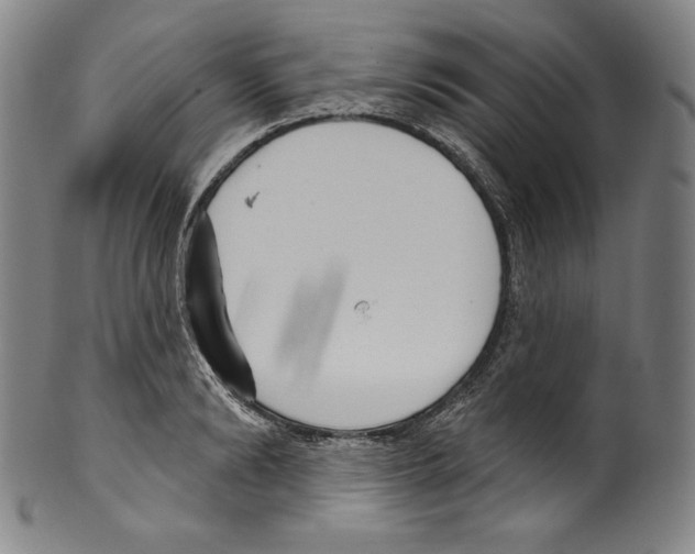 X0000099440894200806061041