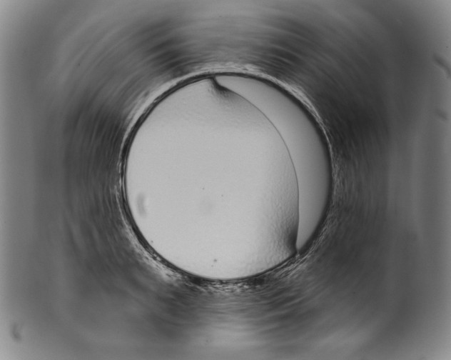 X0000099440895200806061041