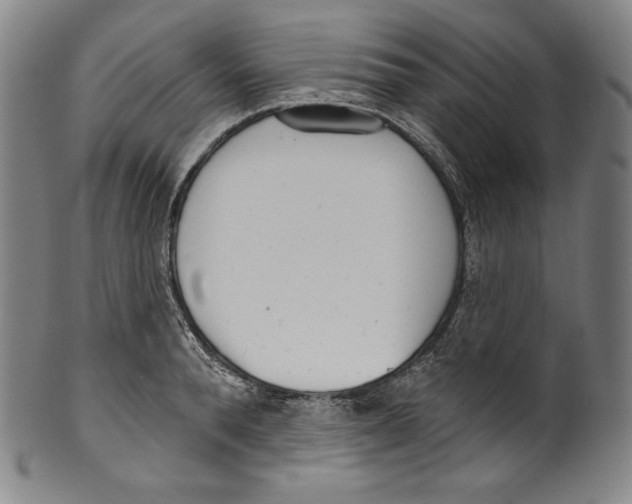 X0000099440896200806061041