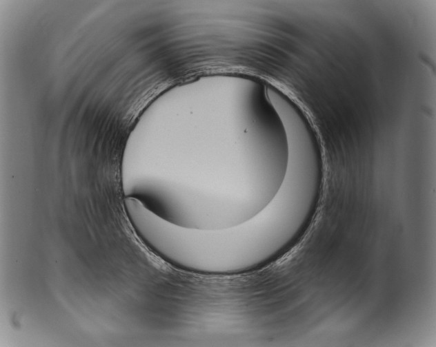 X0000099440897200806061041