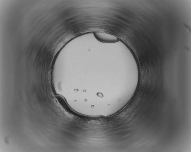 X0000099440898200806061041