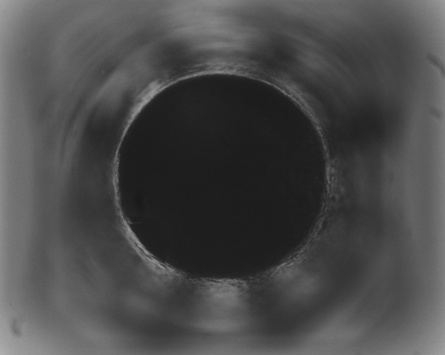 X0000099440899200806061041