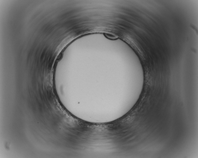 X0000099440900200806061041