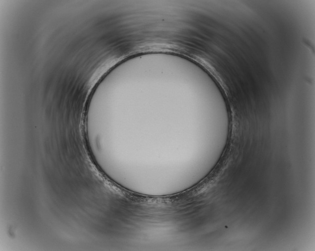 X0000099440901200806061041