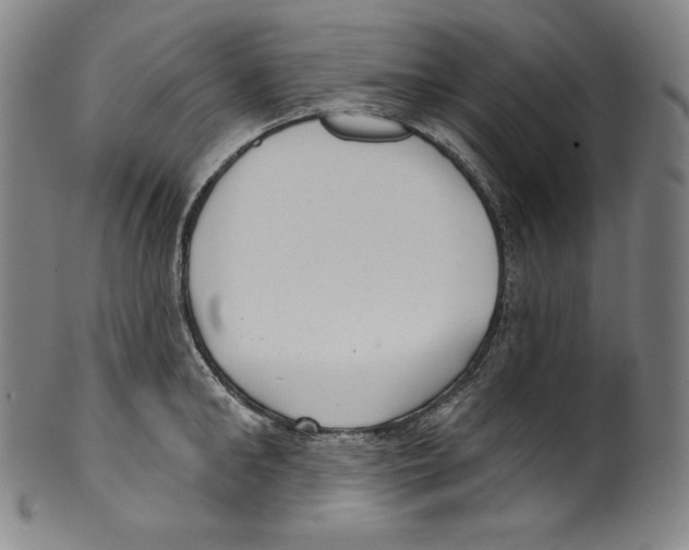 X0000099440902200806061041