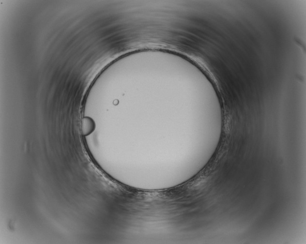 X0000099440903200806061041