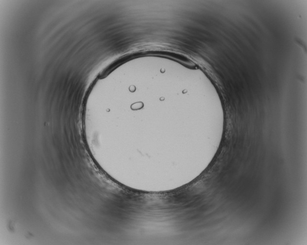 X0000099440904200806061041