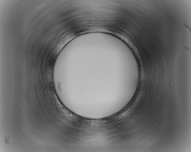 X0000099440905200806061041