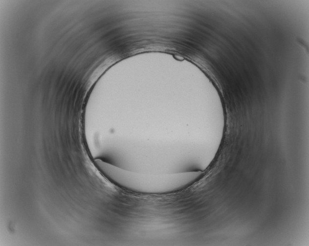 X0000099440906200806061041