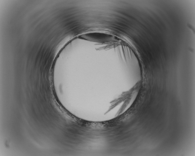 X0000099440907200806061041