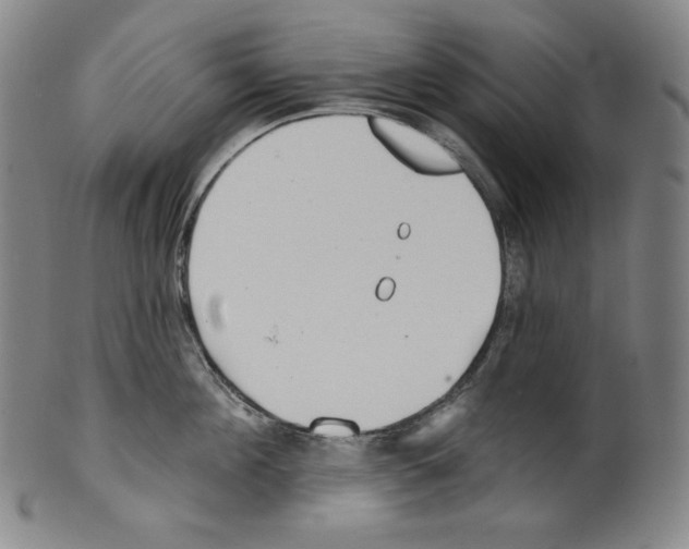 X0000099440908200806061041