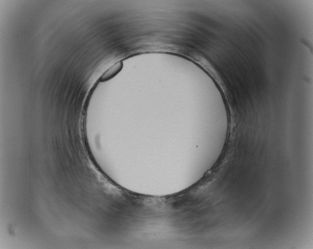 X0000099440909200806061041