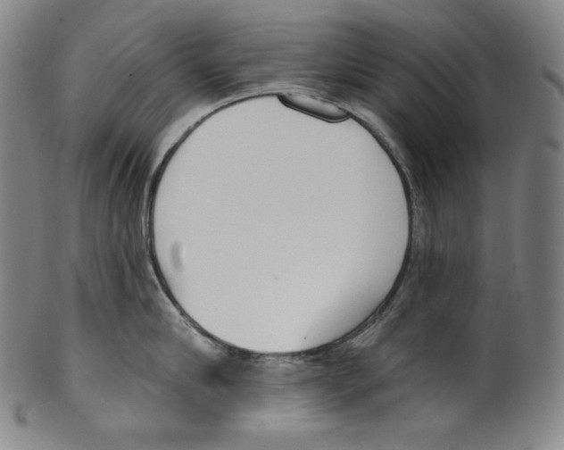 X0000099440910200806061041