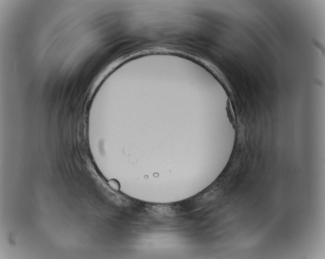 X0000099440911200806061041